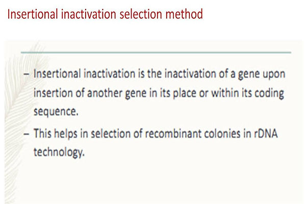 Slide31.JPG