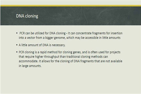 Slide47.JPG