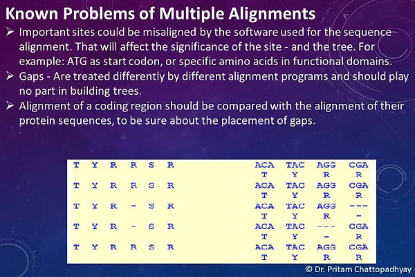 Slide33.JPG
