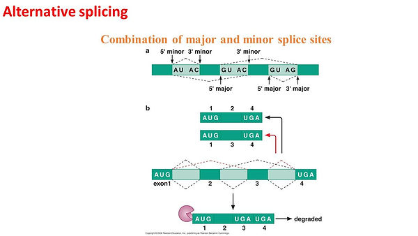 Slide42.JPG