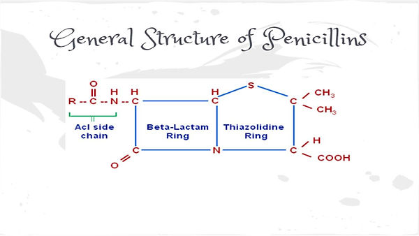 Slide278.JPG