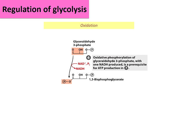 Slide34.JPG