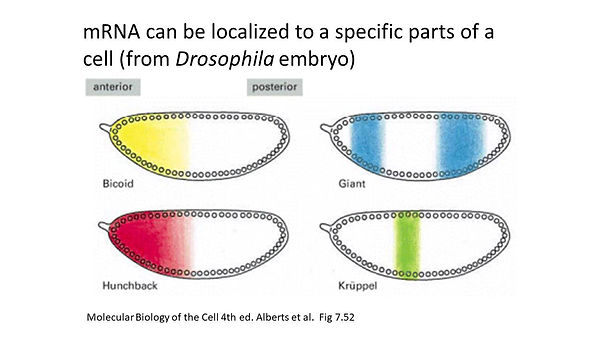 Slide88.JPG