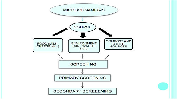 Slide11.JPG