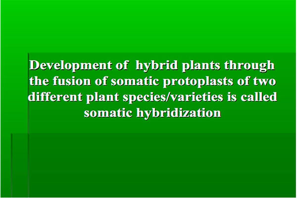 Slide119.JPG