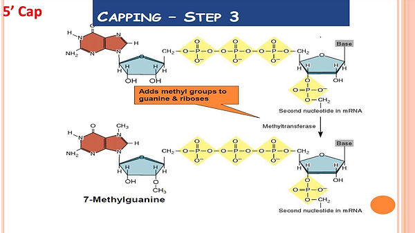 Slide7.JPG