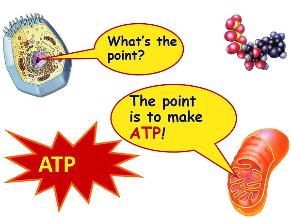 Slide58.JPG
