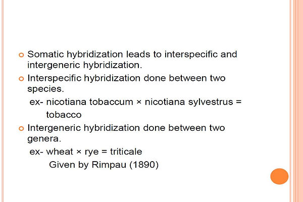 Slide126.JPG