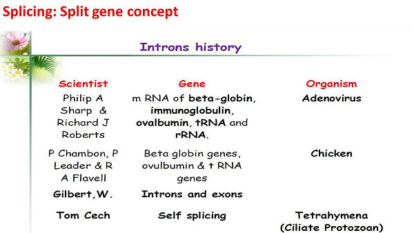 Slide20.JPG