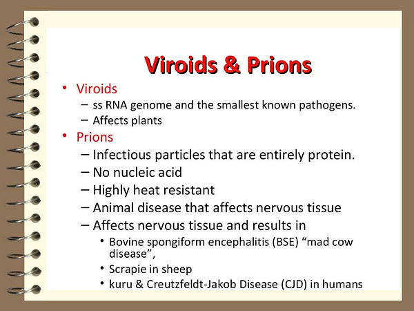 Slide3.JPG
