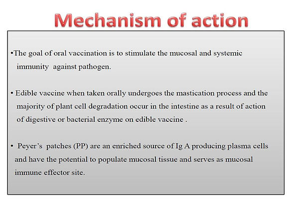 Slide149.JPG
