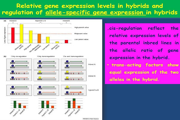 Slide67.JPG