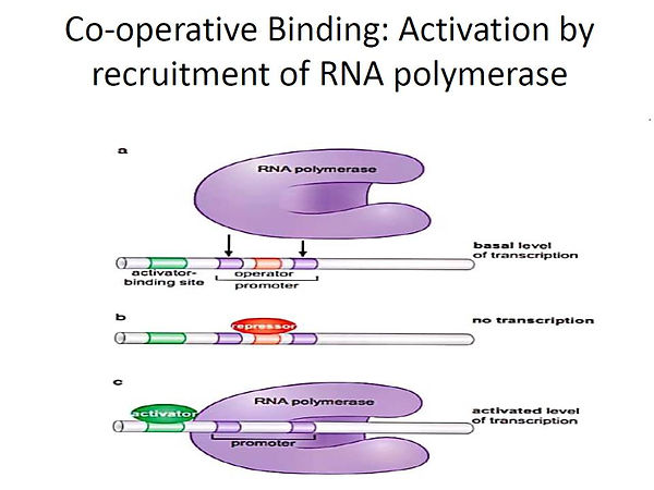 Slide60.JPG