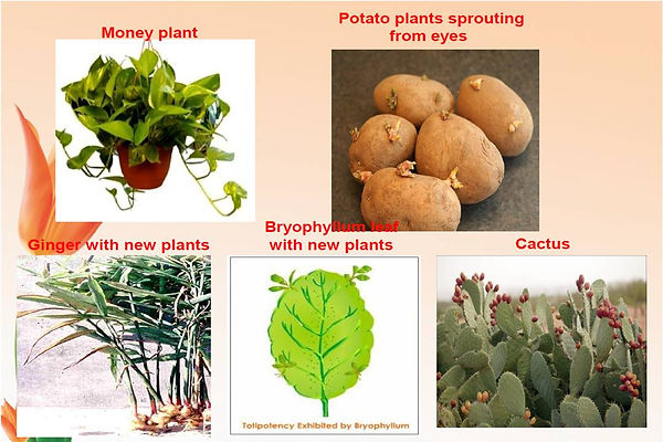 Slide22.JPG