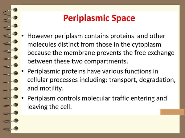 Slide125.JPG
