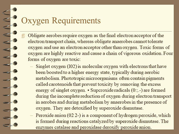Slide7.JPG