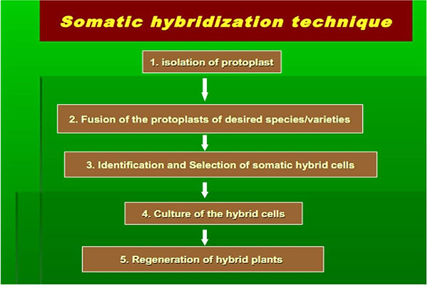 Slide120.JPG