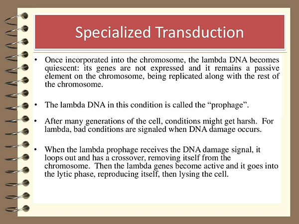 Slide220.JPG