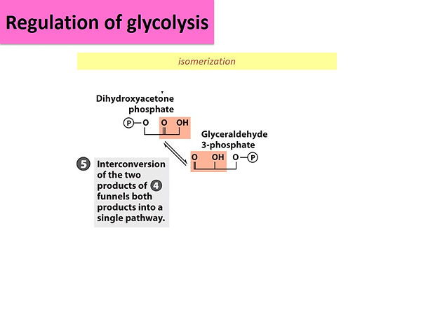 Slide32.JPG