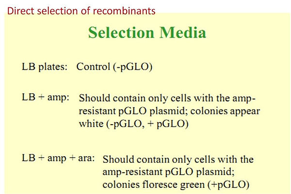 Slide29.JPG
