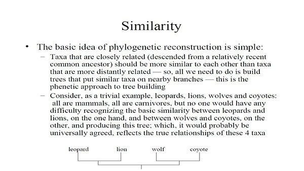 Slide7.JPG
