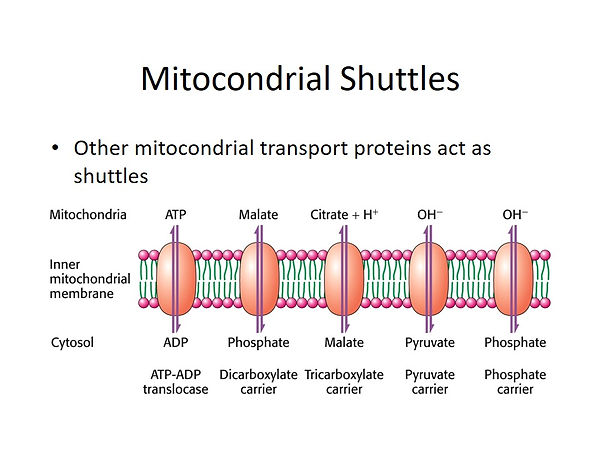 Slide47.JPG