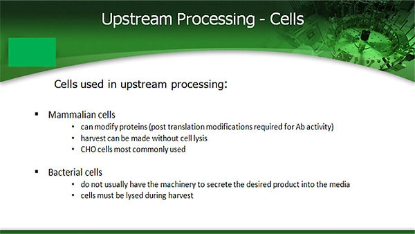 Slide9.JPG