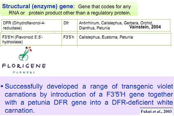 Slide107.JPG