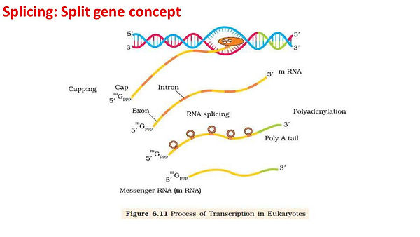 Slide14.JPG