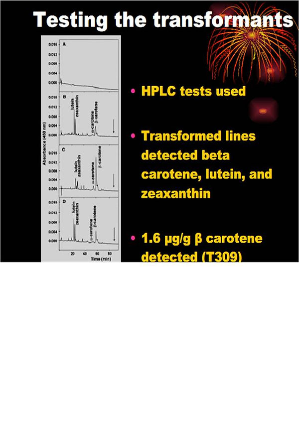 Slide15.JPG