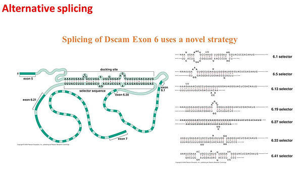 Slide44.JPG