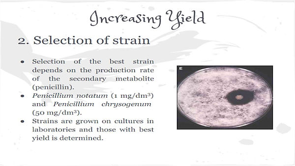 Slide291.JPG