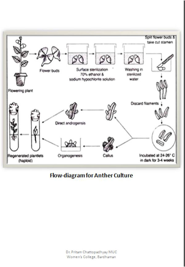Slide2.JPG