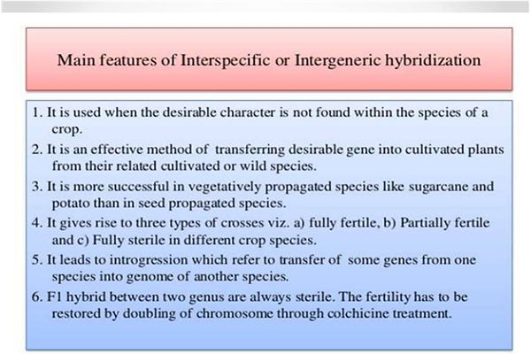 Slide109.JPG