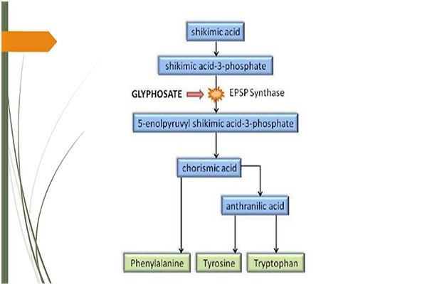 Slide40.JPG