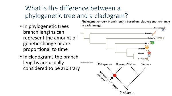 Slide113.JPG