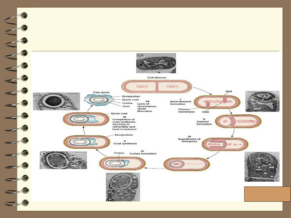 Slide230.JPG