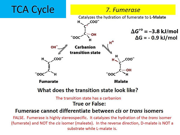 Slide9.JPG