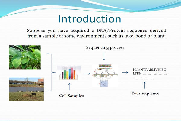 Slide23.JPG