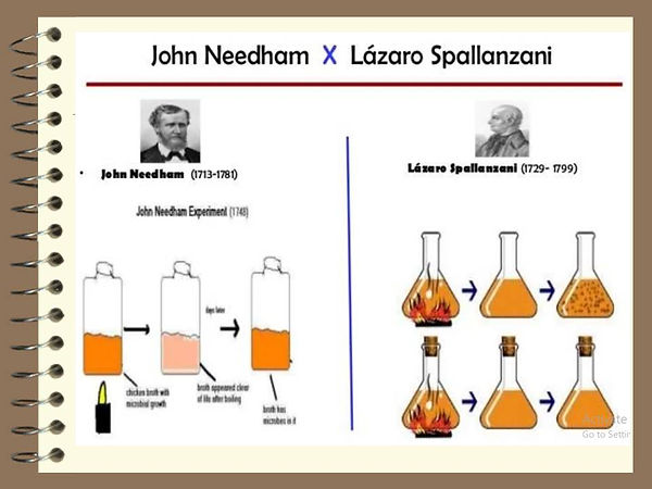 Slide11.JPG