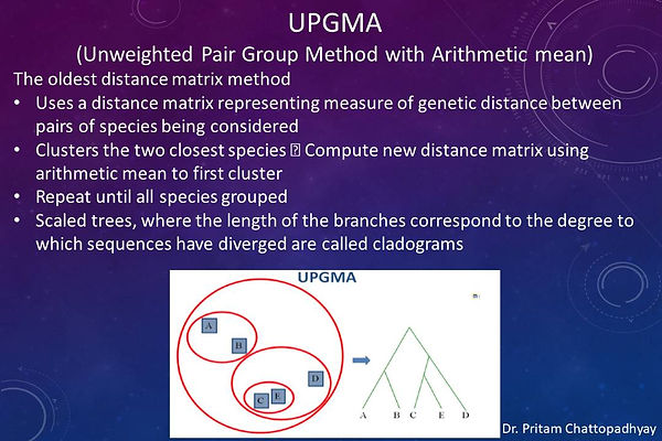 Slide23.JPG