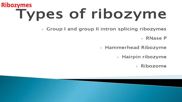 Slide53.JPG