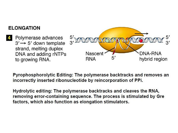 Slide20.JPG