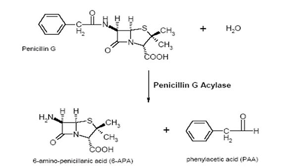Slide85.JPG