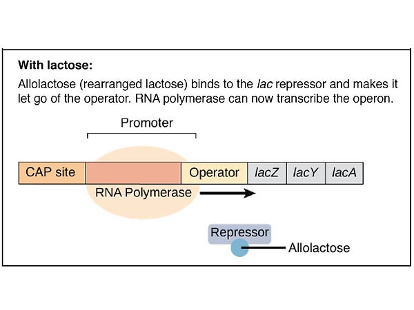 Slide83.JPG