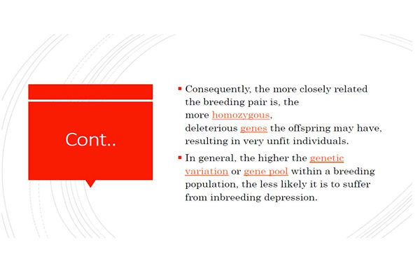 Slide19.JPG