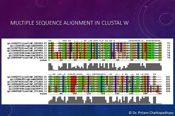 Slide28.JPG