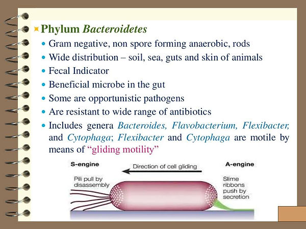 Slide65.JPG