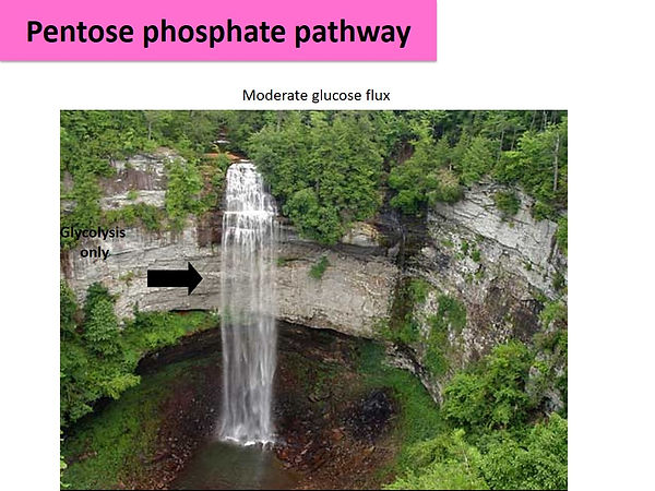Slide43.JPG