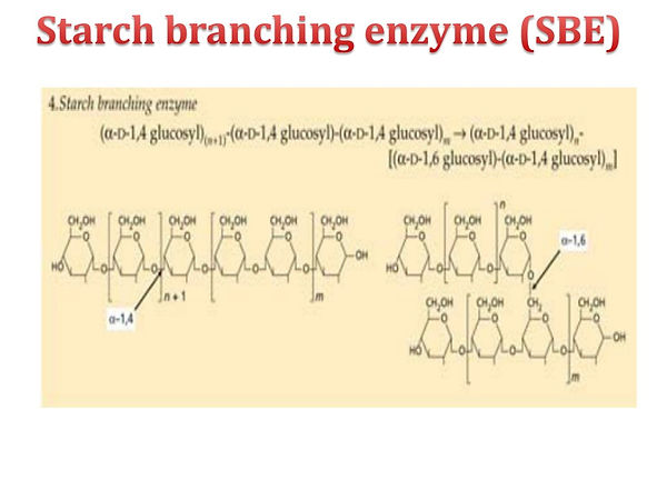 Slide35.JPG